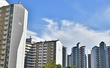 제목을 입력합니다